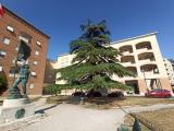 Appartamento, LATINA, 349.000 €, 150,00 mq