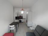 Affitto, Appartamento, ALBA, 750 €, 43,00 mq