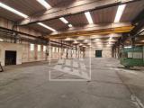 Superfici commerciali, BIBBIANO, 2.490.000 €, 5182,00 mq