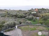 Particella, ACI CASTELLO, 35.000 €, 1302,00 mq