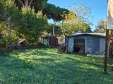 Particella, TARQUINIA, 35.000 €, 1290,00 mq