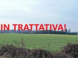 Particella, ORIGGIO, 50.000 €, 6322,00 mq
