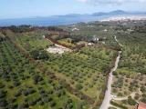 Casa, ALGHERO, 1.000.000 €, 928,00 mq