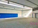 Affitto, Superfici commerciali, CAMAIORE, 4.500 €, 600,00 mq
