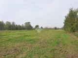 Particella, BOLOGNA, 35.000 €, 620,00 mq