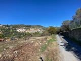 Particella, BORDIGHERA, 99.000 €, 1500,00 mq