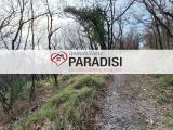 Particella, TRIESTE, 40.000 €, 4280,00 mq