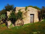 Particella, PRESICCE, 14.000 €, 2200,00 mq