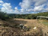 Particella, LIVORNO, 90.000 €, 2854,00 mq