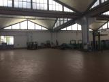 Affitto, Superfici commerciali, RUSSI, <i>A richiesta</i>, 6970,00 mq