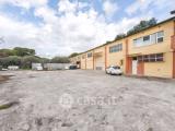 Superfici commerciali, MANOPPELLO, 870.000 €, 1000,00 mq