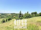 Particella, BERTINORO, 59.000 €, 1200,00 mq