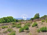 Particella, SANTA MARINELLA, 65.000 €, 6000,00 mq