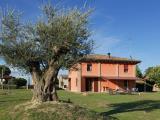 Casa, RAVENNA, Ragone, 670.000 €, 450,00 mq