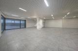 Affitto, Superfici commerciali, CAMPO SAN MARTINO, <i>A richiesta</i>, 650,00 mq