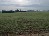 Particella, ORIGGIO, 35.000 €, 4290,00 mq