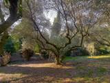 Casa, ROMA, 1.300.000 €, 516,00 mq