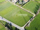 Particella, CISERANO, 40.000 €, 2279,00 mq