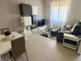 Affitto, Appartamento, SESTO SAN GIOVANNI, 800 €, 48,00 mq