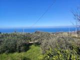 Casa, MESSINA, Gesso, 105.000 €, 80,00 mq