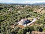 Casa, MENTANA, <i>A richiesta</i>, 400,00 mq
