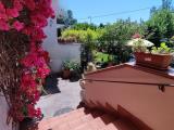 Affitto, Appartamento, PISA, 950 €, 75,00 mq