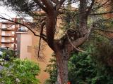 Appartamento, VARAZZE, 320.000 €, 80,00 mq