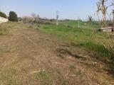 Particella, CASTIGLIONE DEL LAGO, 97.000 €, 780,00 mq