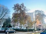 Superfici commerciali, MILANO, 40.000 €, 16,00 mq