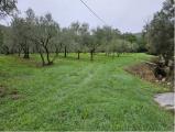 Particella, CALENZANO, 290.000 €