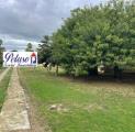 Appartamento, COMISO, 163.000 €, 150,00 mq