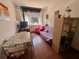 Appartamento, FOLLONICA, 135.000 €, 38,00 mq