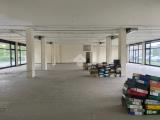 Superfici commerciali, BUSSOLENGO, 495.000 €, 470,00 mq