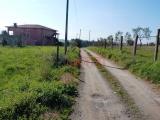 Particella, ANGUILLARA SABAZIA, 155.000 €, 430,00 mq