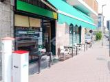 Superfici commerciali, SAN GIULIANO MILANESE, 235.000 €, 289,00 mq