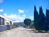Superfici commerciali, CAMPI BISENZIO, 850.000 €, 850,00 mq