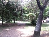 Appartamento, VIAREGGIO, 290.000 €, 120,00 mq