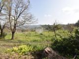 Particella, AGROPOLI, 99.000 €, 20000,00 mq