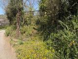 Particella, NOCERA SUPERIORE, 23.000 €, 2900,00 mq
