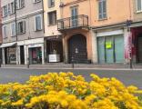 Affitto, Superfici commerciali, PIACENZA, 1.400 €, 60,00 mq