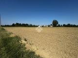 Particella, CASALE SUL SILE, 200.000 €, 29000,00 mq