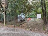 Appartamento, BOLOGNA, 300.000 €, 75,00 mq