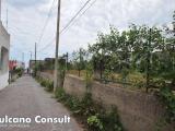 Particella, PONTINIA, 120.000 €, 346,00 mq