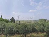 Particella, SONA, 267.000 €, 1000,00 mq