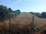Particella, SAN CESAREO, 39.000 €, 10000,00 mq