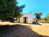 Particella, OSTUNI, 350.000 €, 105,00 mq