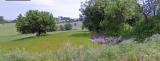 Particella, CAMERANO, 135.000 €, 35700,00 mq