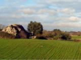 Particella, MARTINA FRANCA, 38.000 €, 70,00 mq