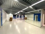 Affitto, Superfici commerciali, ALBIGNASEGO, 800 €, 110,00 mq