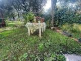 Appartamento, CARRARA, 170.000 €, 70,00 mq